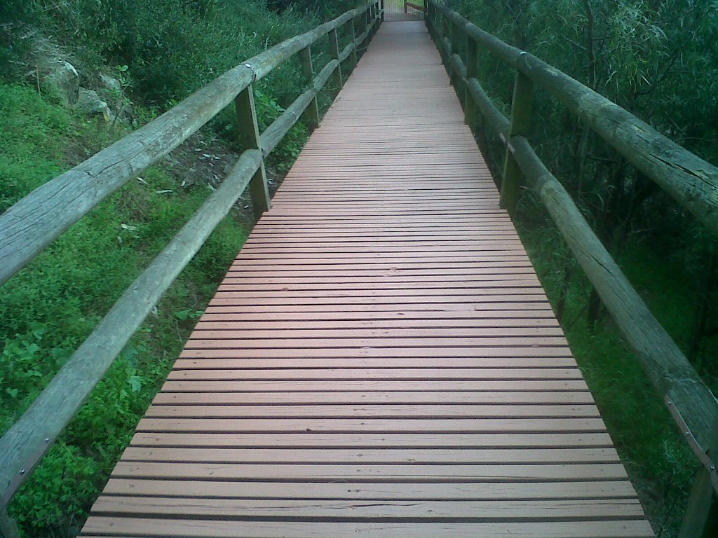 Flexible Membranous Coating